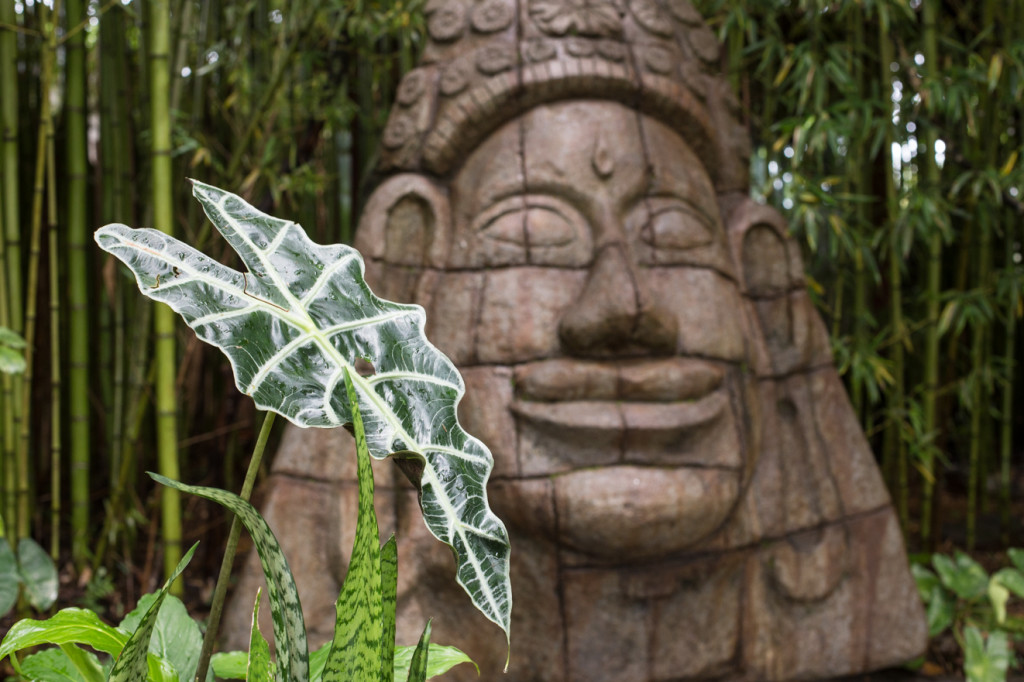 Jardim Zen de Budha em Alto Paraíso na Pousada Alfa e Ômega